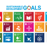 SDGs